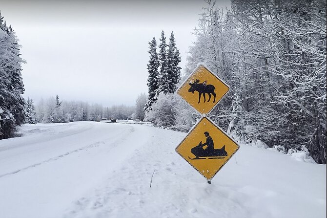 Alaska Snowmobile Adventure Tour - The Chena Lakes Recreation Area by snowmobile