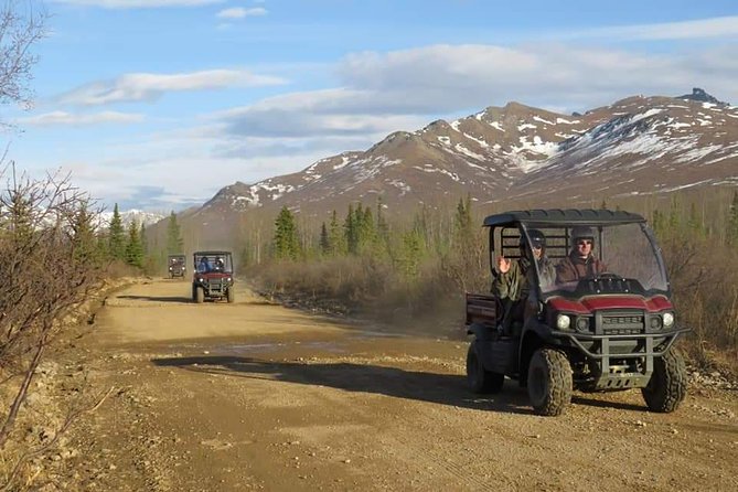 Alaskan Back Country Side by Side ATV Adventure with Meal - Black Diamond Peak and the Healy Valley