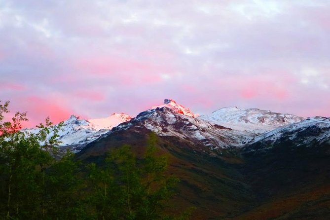 Alaskan Back Country Side by Side ATV Adventure with Meal - Timing, booking, and cancellation details