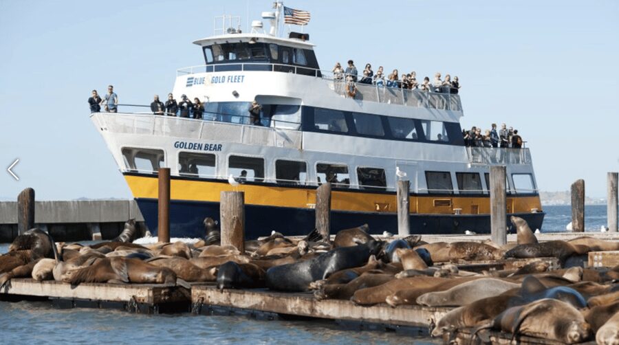 Alcatraz Island Prison Tour & Bay Cruise Combined Package - Accessibility, children, and practical comfort