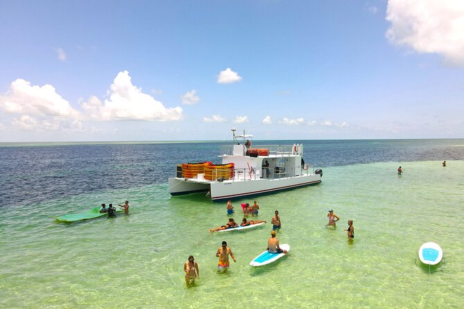 All-Inclusive Sandbar Safari with Dolphin Playground Encounter - Searching for dolphins in the Florida Keys National Marine Sanctuary