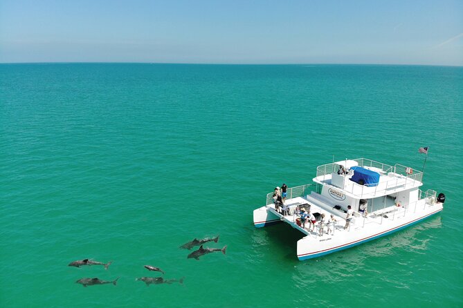 All-Inclusive Sandbar Safari with Dolphin Playground Encounter - What the guides add to the day