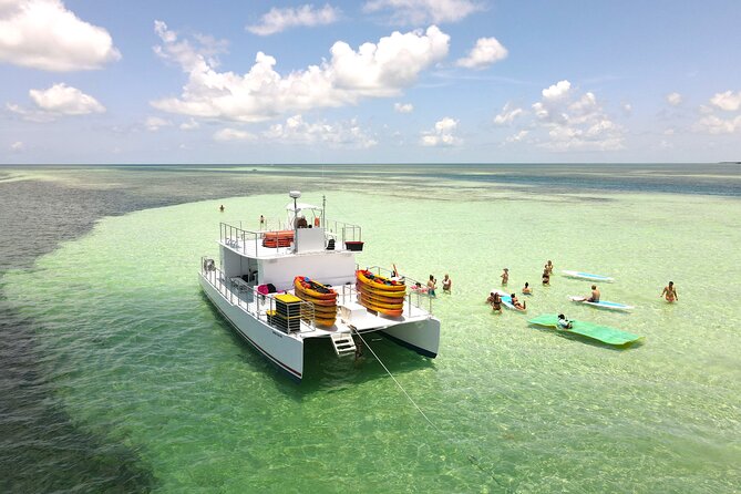 All-Inclusive Sandbar Safari with Dolphin Playground Encounter - Booking details that can save you trouble