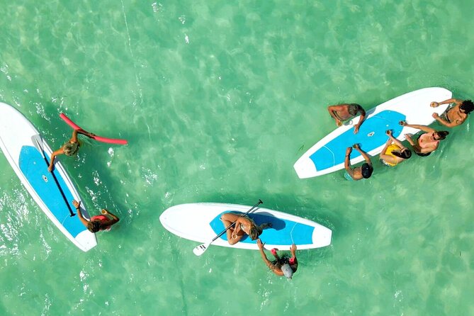 All-Inclusive Sandbar Safari with Dolphin Playground Encounter - Should you book the Sandbar Safari?