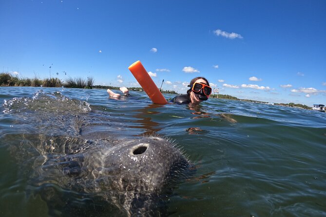 All-Inclusive Small Group Manatee Swim with Free Photos - What the included price is really worth