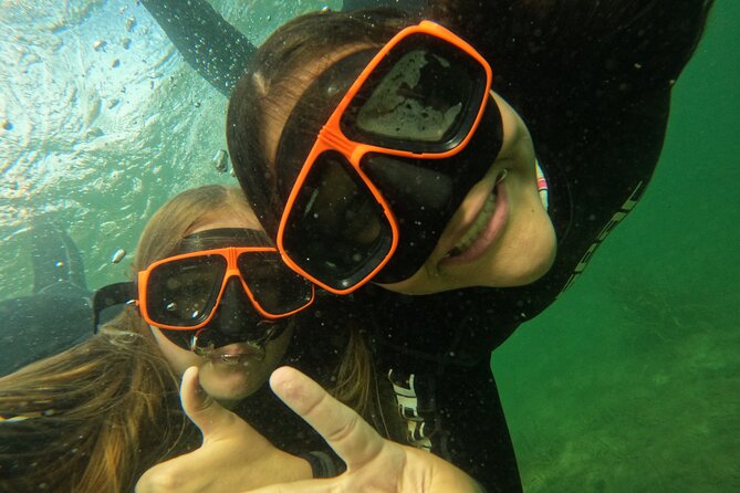 All-Inclusive Small Group Manatee Swim with Free Photos - What the three-hour itinerary feels like