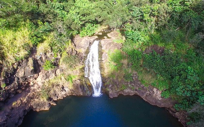 All Inclusive Ultimate Circle Island Tour, Waimea Falls & Lunch - Waikiki, Kapiolani Park, and Diamond Head