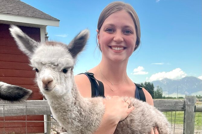 Alpaca and Llama Farm Tour - Meeting alpacas and llamas up close