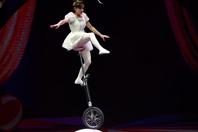 Amazing Acrobats: Grand Shanghai Circus Show in Branson - A Show With a Personal Branson Feel