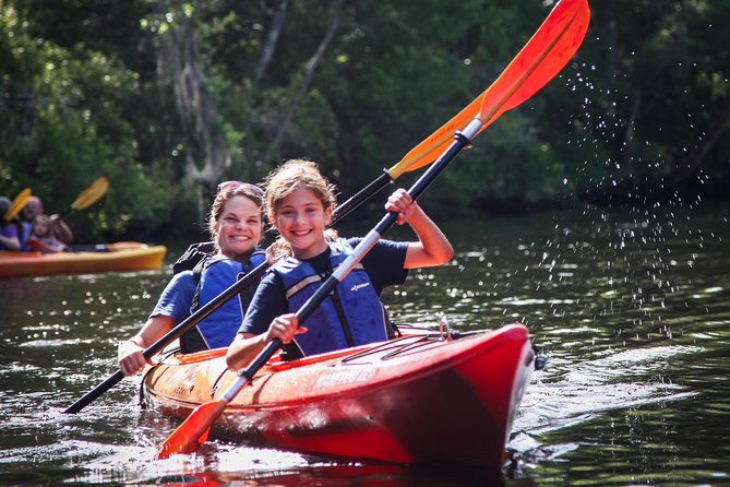 Amelia Island Guided Kayak Tour of Lofton Creek - A quiet blackwater trip near Amelia Island