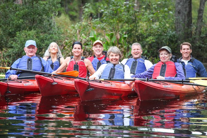 Amelia Island Guided Kayak Tour of Lofton Creek - What the experience is worth