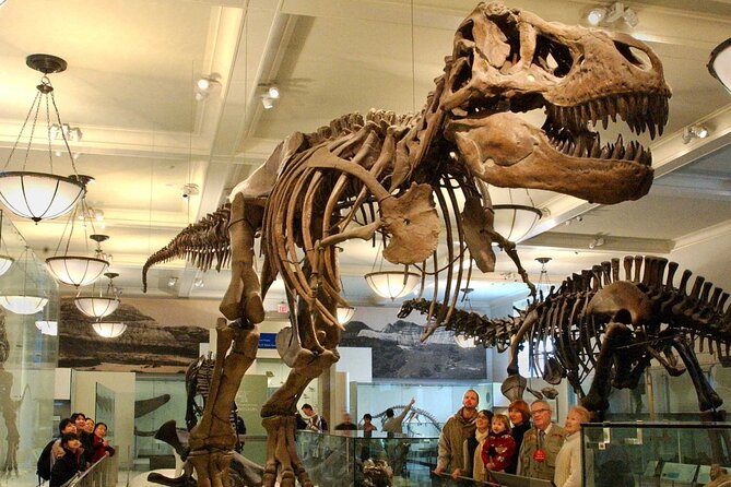 American Museum of Natural History Admission Ticket - Why this museum earns several hours of your New York day
