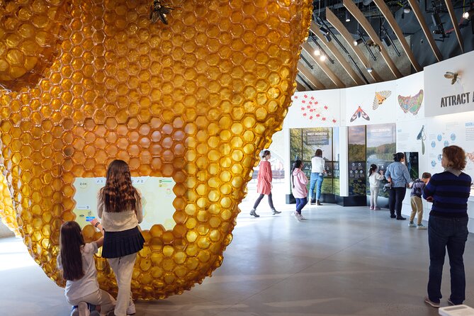 American Museum of Natural History Admission Ticket - Ancient cultures and gems broaden the visit