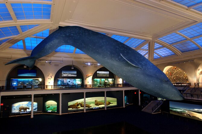 American Museum of Natural History Admission Ticket - Crowds, walking, and finding your way