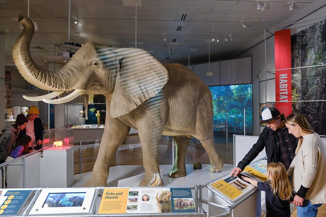 American Museum of Natural History Admission Ticket - Food and breaks inside the museum