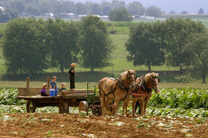 Amish Experience SuperSaver Package - What this package really gives you