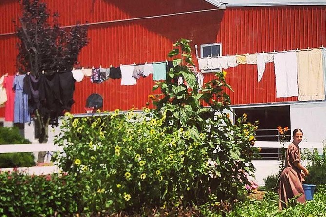 Amish Experience SuperSaver Package - Riding the Amish farmland route in a 14-passenger shuttle