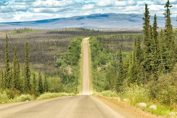 Arctic Circle Day Tour - Quick takeaways from the Fairbanks Arctic Circle drive