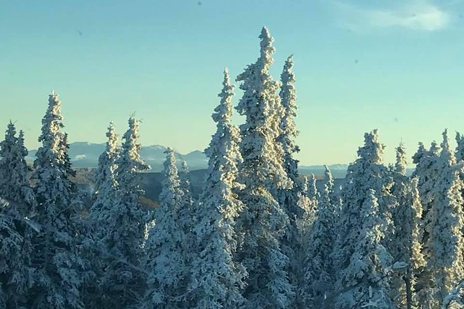 Arctic Circle Day Tour - The ride back is where the day catches up with you
