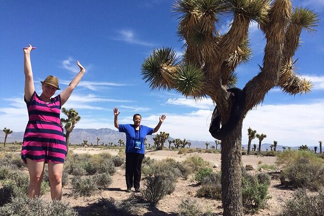 Area 51 Day Tour from Las Vegas with Alien and UFO Hotspots - Janet Airlines at Harry Reid International Airport