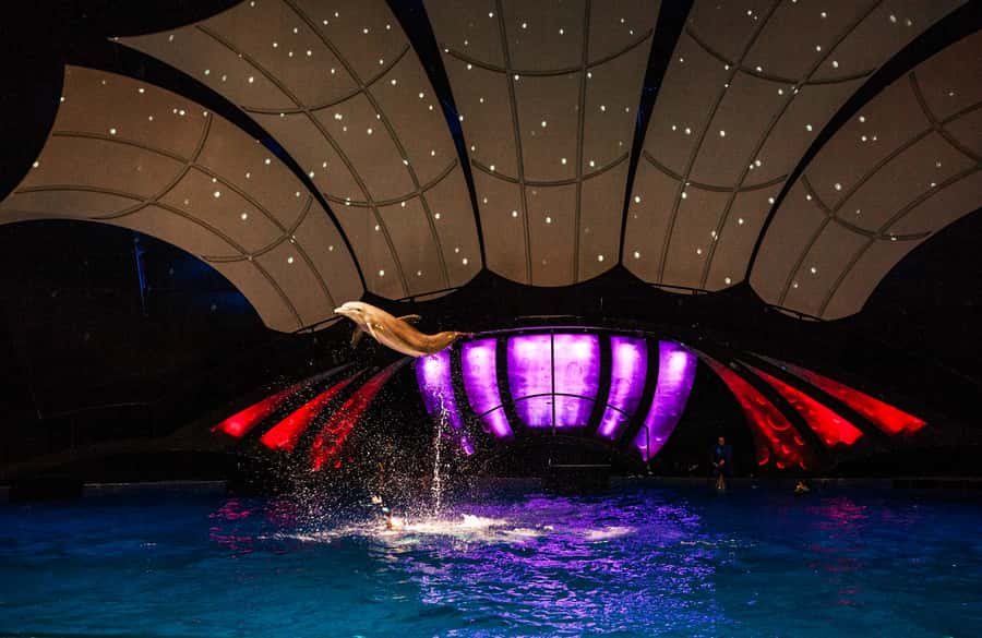 Atlanta: Georgia Aquarium Skip-the-Box-Office Entry Ticket - Start at Baker Street and skip the purchase line