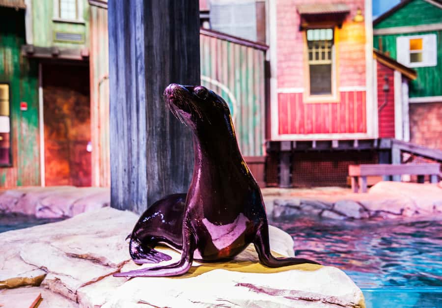 Atlanta: Georgia Aquarium Skip-the-Box-Office Entry Ticket - Food, parking, and family details