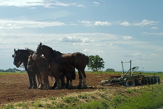 Authentic Tour & Meal with the Amish! - Sitting down to the homemade meal