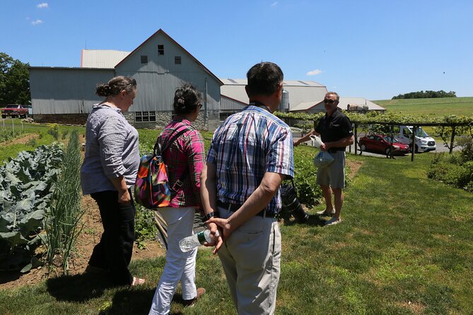 Authentic Tour & Meal with the Amish! - The return ride and what the timing means