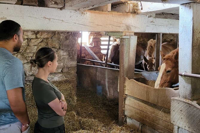 Authentic Tour & Meal with the Amish! - Practical booking advice