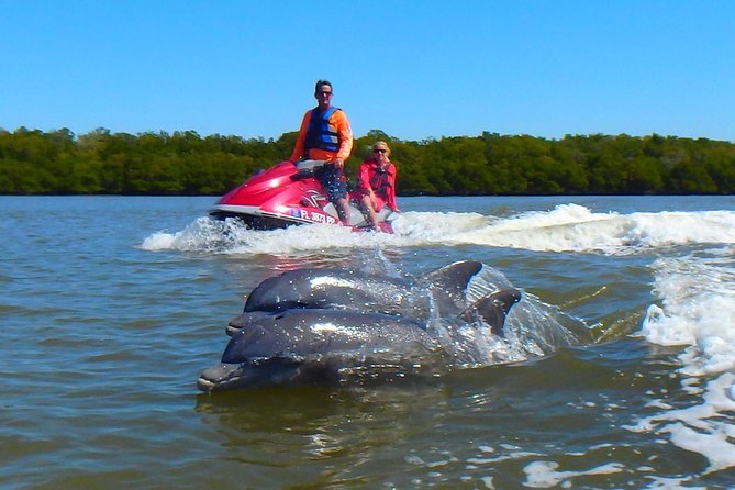 Avi's Premium Dolphin Tour by Jet Ski - Riding into Marco Island’s 10,000 Islands