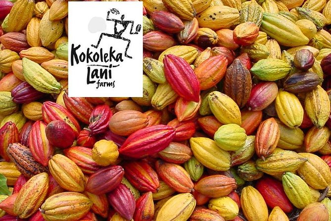 Award Winning Farm Tour: Coffee, Chocolate and Unique Gifts - A gift shop with a reason to linger