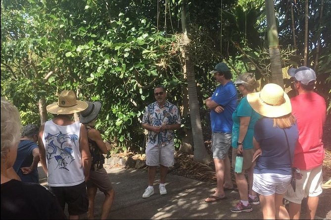 Award Winning Farm Tour: Coffee, Chocolate and Unique Gifts - Why the biodiversity lesson matters