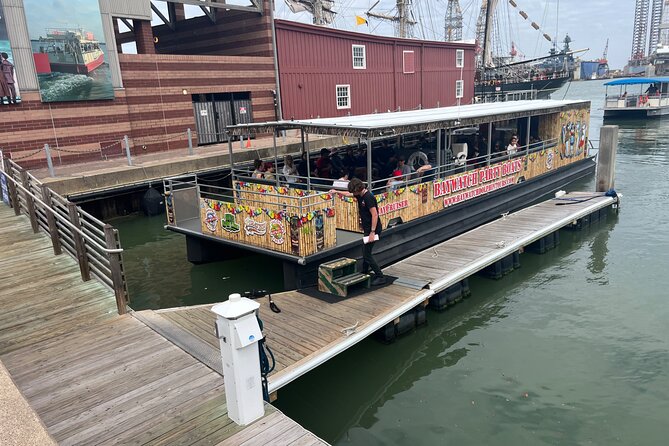 Baywatch Dolphin Tours – Pier 21 Galveston - Key points about the Pier 21 dolphin cruise