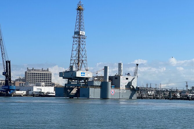 Baywatch Dolphin Tours – Pier 21 Galveston - A quick cruise with real wildlife