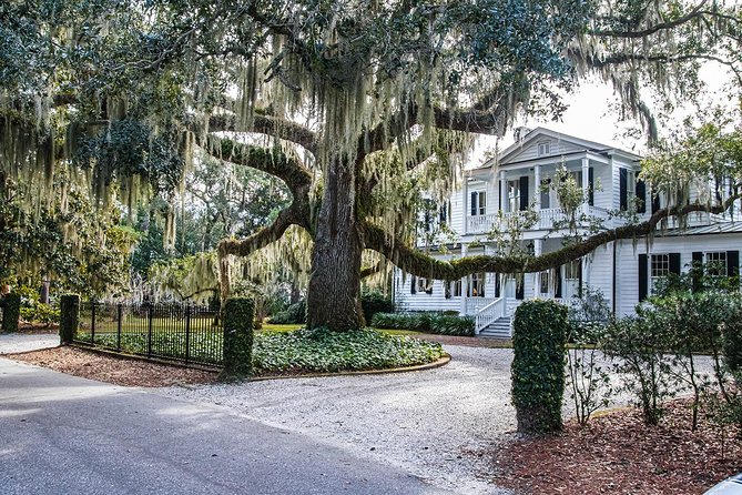 Beaufort City Minibus Tour - Beaufort in 75 minutes