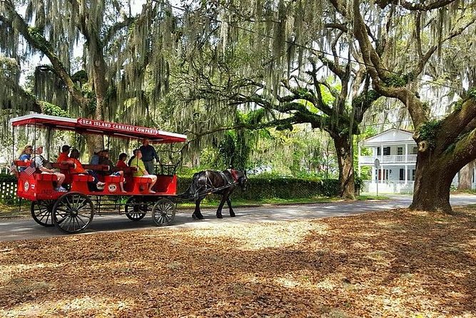 Beaufort’s #1 Horse & Carriage History Tour - Who should book this Beaufort carriage tour?