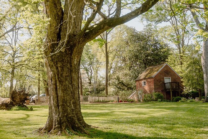 Belle Meade Guided Mansion Tour with Complimentary Wine Tasting - Thoroughbred history gives Belle Meade its own character