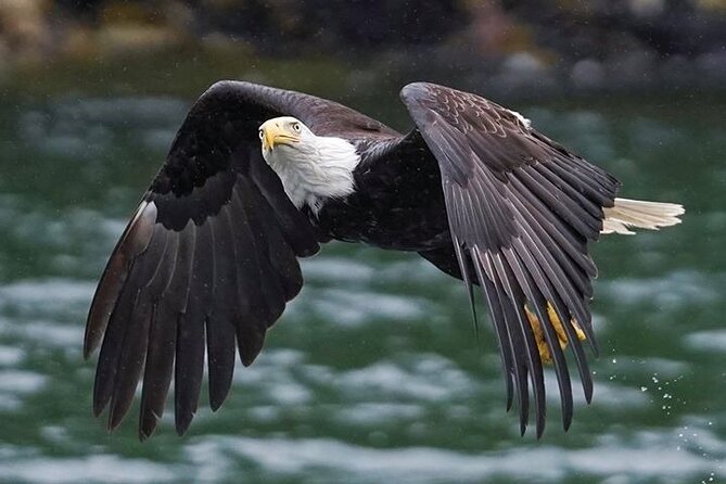Bering Sea Crab Fisherman's Tour from Ketchikan - Who will enjoy the Aleutian Ballad most?