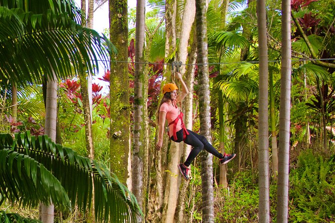 Big Island: 8-Zipline & Suspension Bridge Waterfall Adventure - Botanical World Adventures after the zipline
