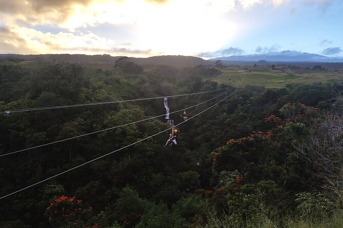 Big Island: 8-Zipline & Suspension Bridge Waterfall Adventure - Crossing the suspension bridge between the lines
