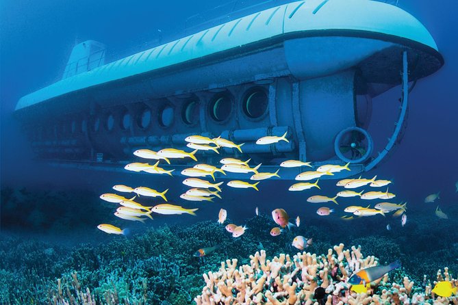 Big Island: Atlantis Submarine from Kona Beach - The price is high, but the access is unusual