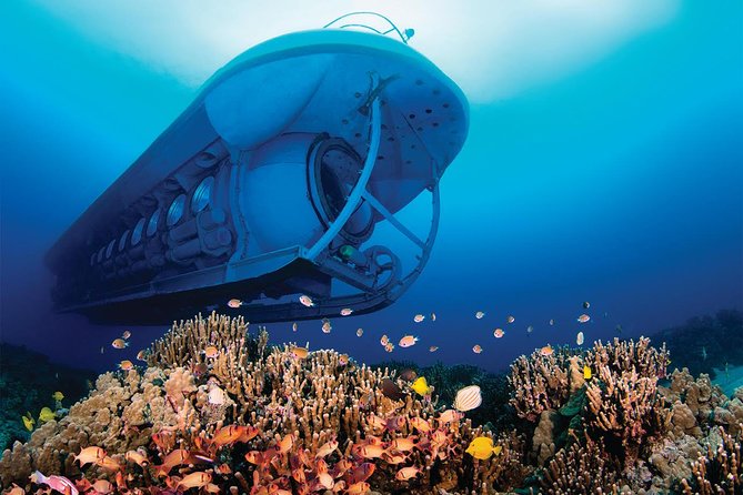 Big Island: Atlantis Submarine from Kona Beach - Who should book it, and who should think twice