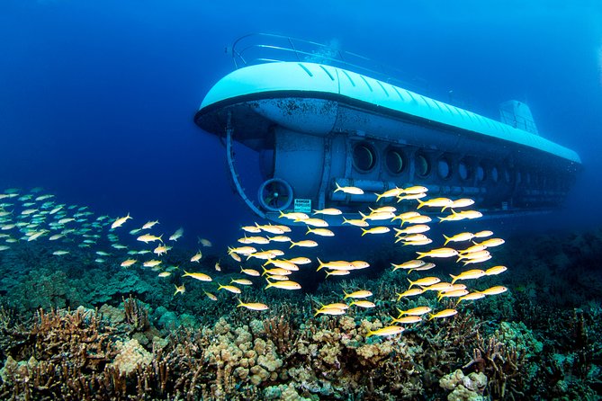 Big Island: Atlantis Submarine from Kona Beach - The two shipwrecks are fish habitat, not maritime history