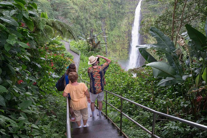Big Island in a Day: Volcanoes Waterfalls Sightseeing and History - Punalu’u Beach and the search for sea turtles