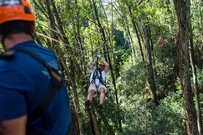 Big Island Kohala Canopy Zipline Adventure - Rope bridges make this more than a zipline ride