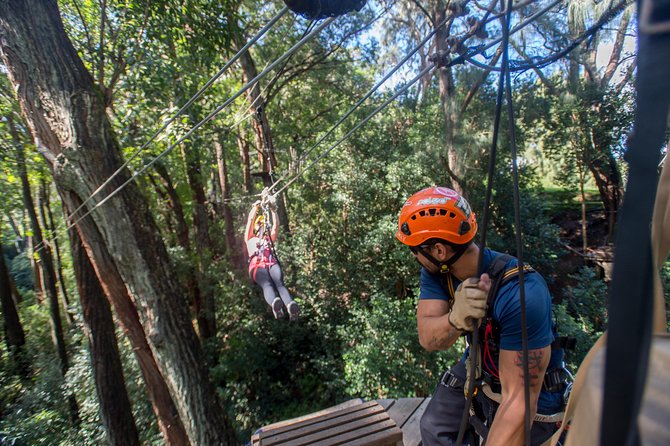 Big Island Kohala Canopy Zipline Adventure - Forest shade, Kohala views, and a possible ocean finish