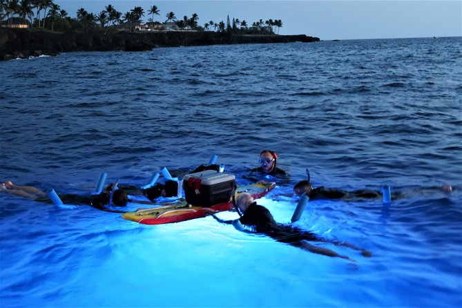 Big Island: Kona Manta Ray Snorkel Tour in Keauhou Harbor - Guides who keep nervous swimmers involved