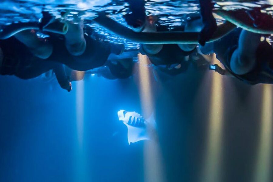 Big Island: Night Swim with Manta Ray with Hot Chocolate - Is the manta night swim worth $146?
