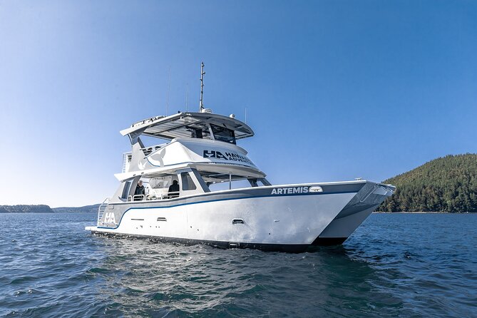 Big Island: Pelagic Whale Watch Tour - Why Kona is a strong place for a whale watch