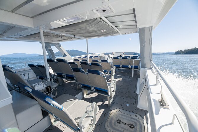 Big Island: Pelagic Whale Watch Tour - Who will enjoy this tour most